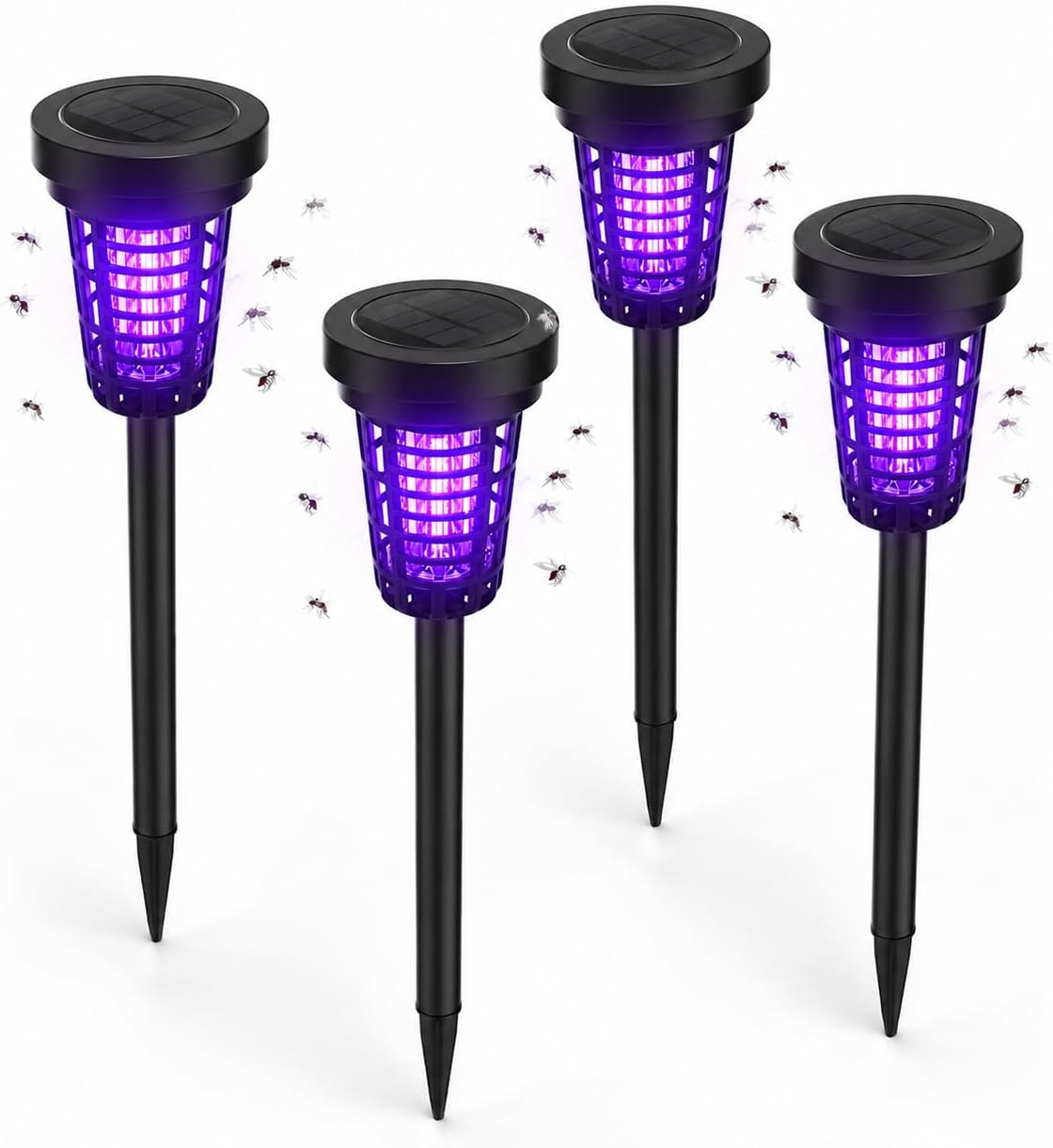 Animated product showcase